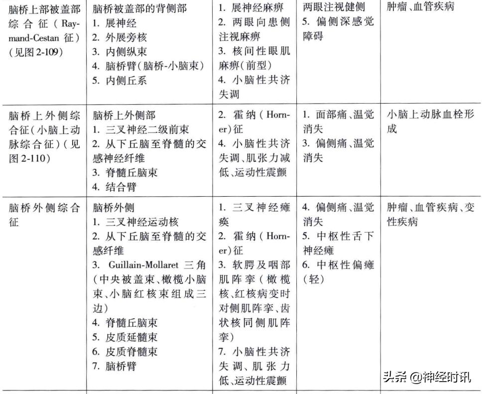 脑干解剖,脑干神经解剖