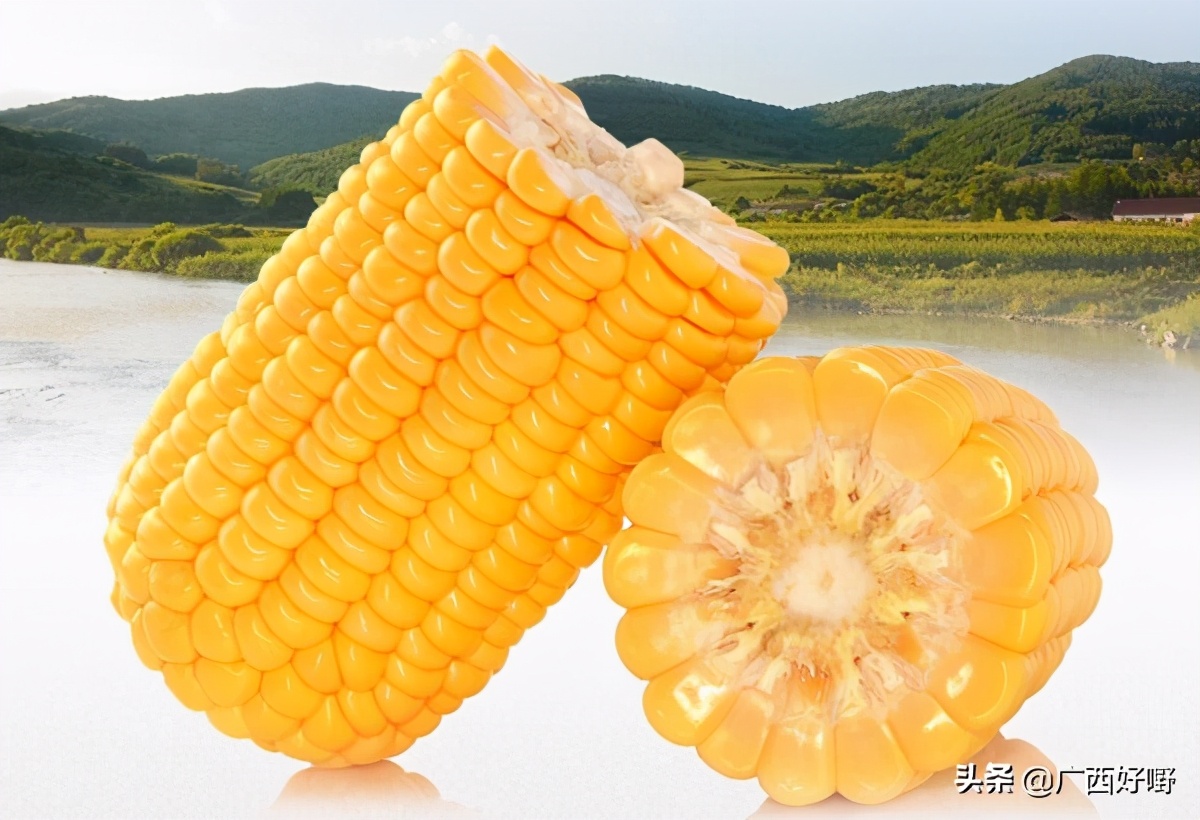 横县甜玉米：甜脆香嫩，饱满多汁
