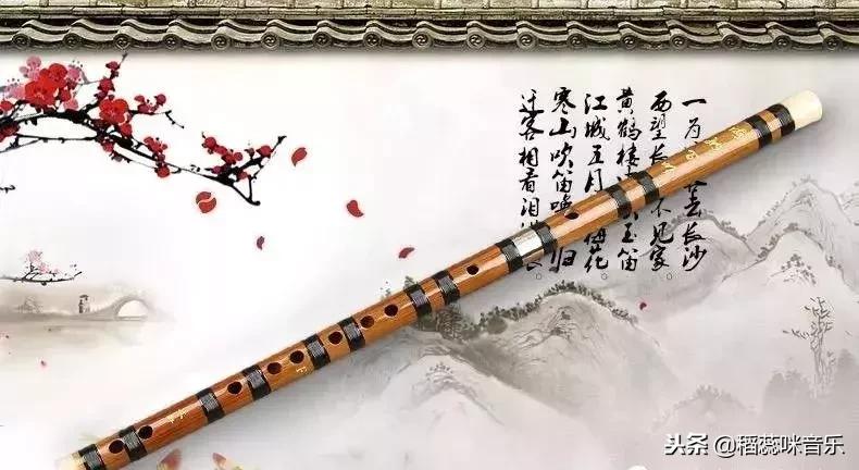 学哪种乐器最有价值,学什么民族乐器最温柔