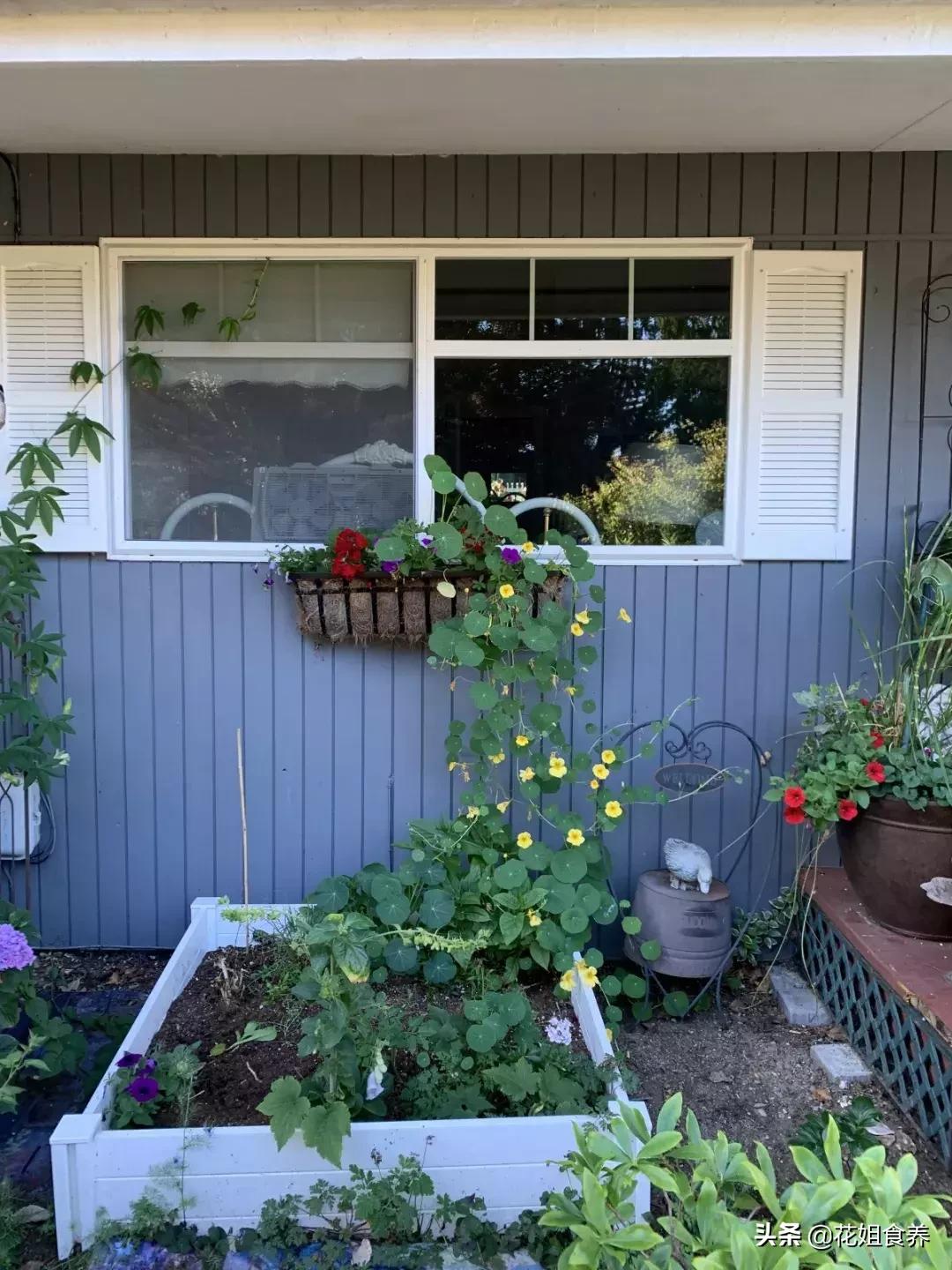 18天我和俩娃，西雅图家庭自由行，民宿、雪山、游艇……好玩刺激