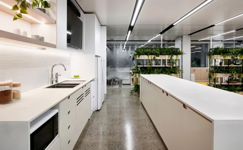 办公室驱赶老鼠最有效方法,室内老鼠怎么消灭最有效的办法