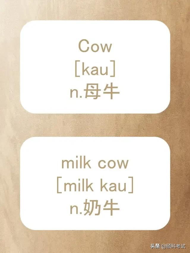 动物的英文拼写及音标,关于动物的单词及音标