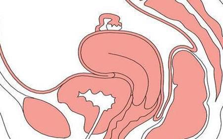 生殖器疱疹会导致甲胎蛋白升高吗,孕妇感染生殖器疱疹病毒