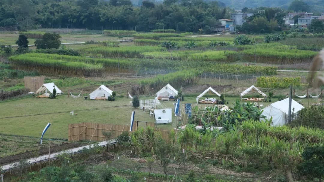 七个闺蜜造房养老,7个闺蜜一起改造农村小院