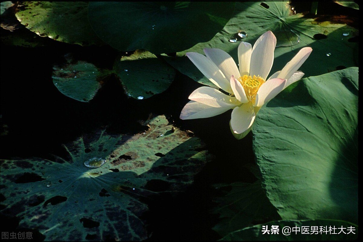 肾阴虚火旺会导致下焦湿热吗,下焦虚寒导致的尿频