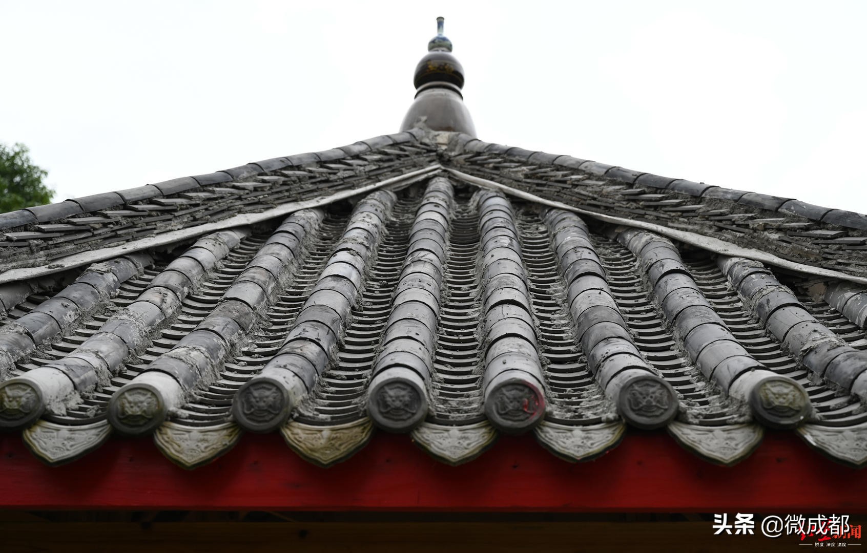 前后历时3个多月！成都68岁大爷自掏腰包亲手为小区打造4米多高的凉亭