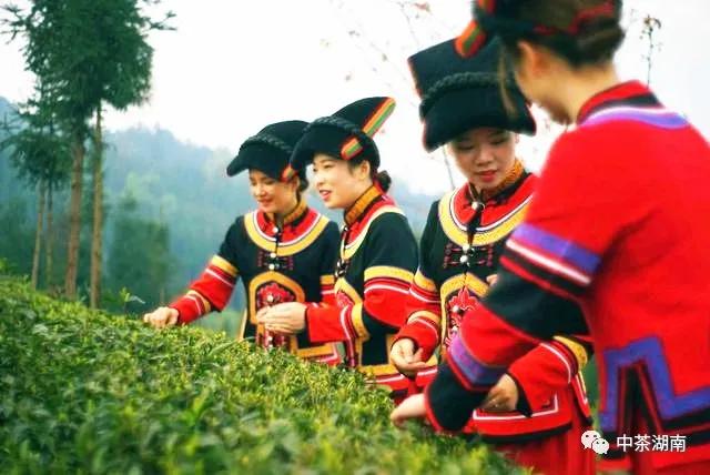 椹竟楂樺北浜戦浘缁胯尪,涓尪椹竟楂樺北缁胯尪