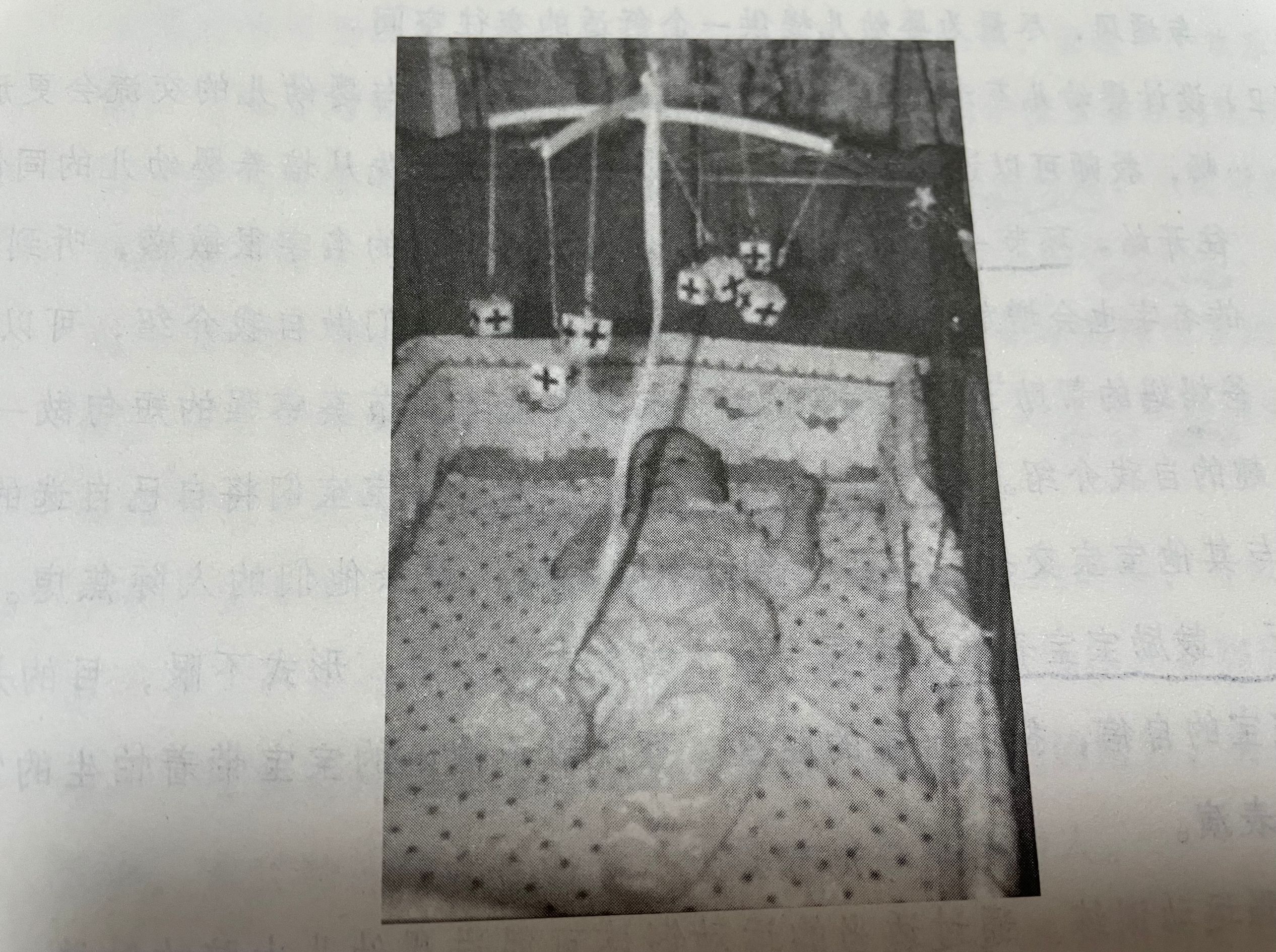 两岁半的孩子还认生？与婴儿认生期有关，怎样帮孩子度过认生期