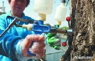 紧急提醒合肥,合肥5月5日天气预警图