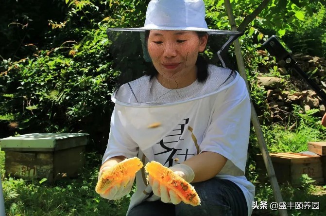 自熬枇杷蜜,好喝的枇杷蜜