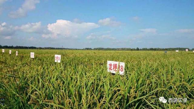 自驾环游世界第一人，一次连续跨越五大洲20万公里吉尼斯世界纪录