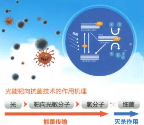 缓释抗菌技术,抗菌技术发展趋势