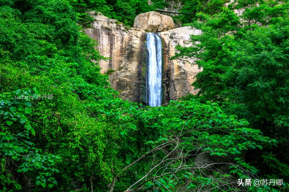 最美神都洛阳,古都洛阳一道靓丽的优美风景线
