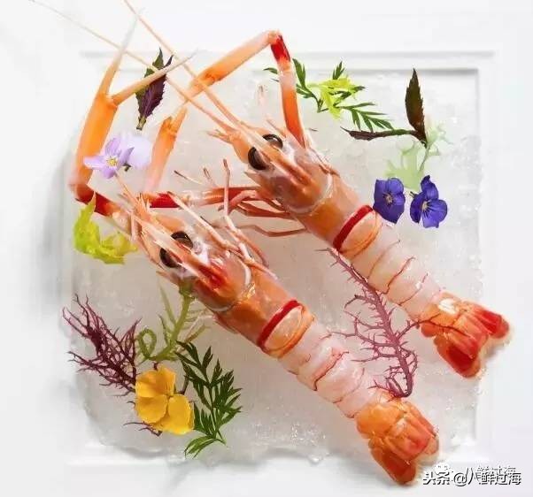 引入活青口贝、鲜帝王鲑，新西兰海产出口商的新生力量！