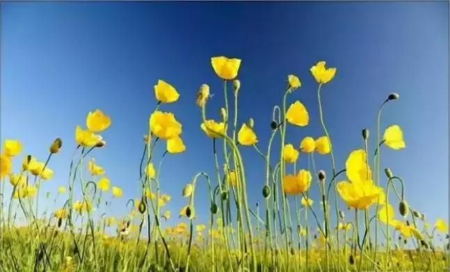 通辽好玩的景点排行榜,通辽霍林河风景