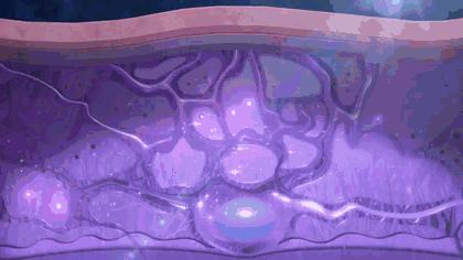 护肤品成分有哪些坑 (护肤品成分的潜规则)