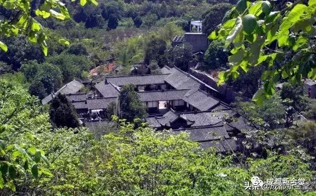 机会来了！央视在金堂招募演员，会跳皮筋的那种！