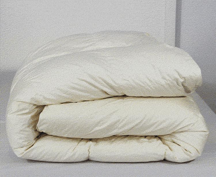 市场现场做的蚕丝被有假的吗,走进市场300字三年级