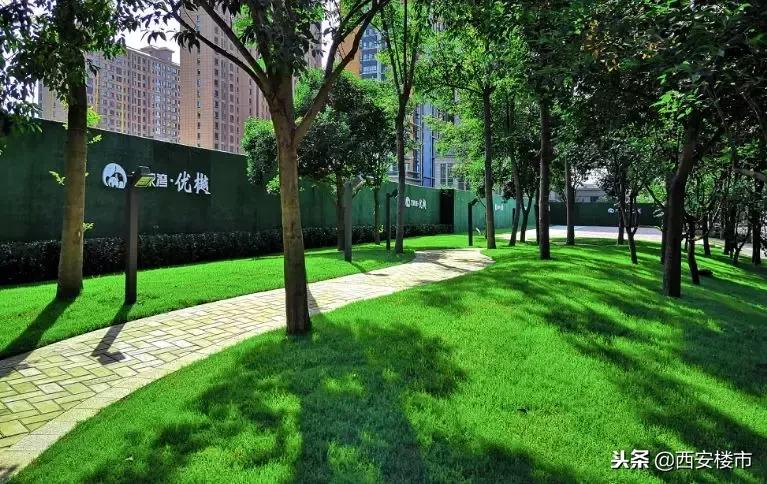 五年来新区变化的感受,西安发展巨变