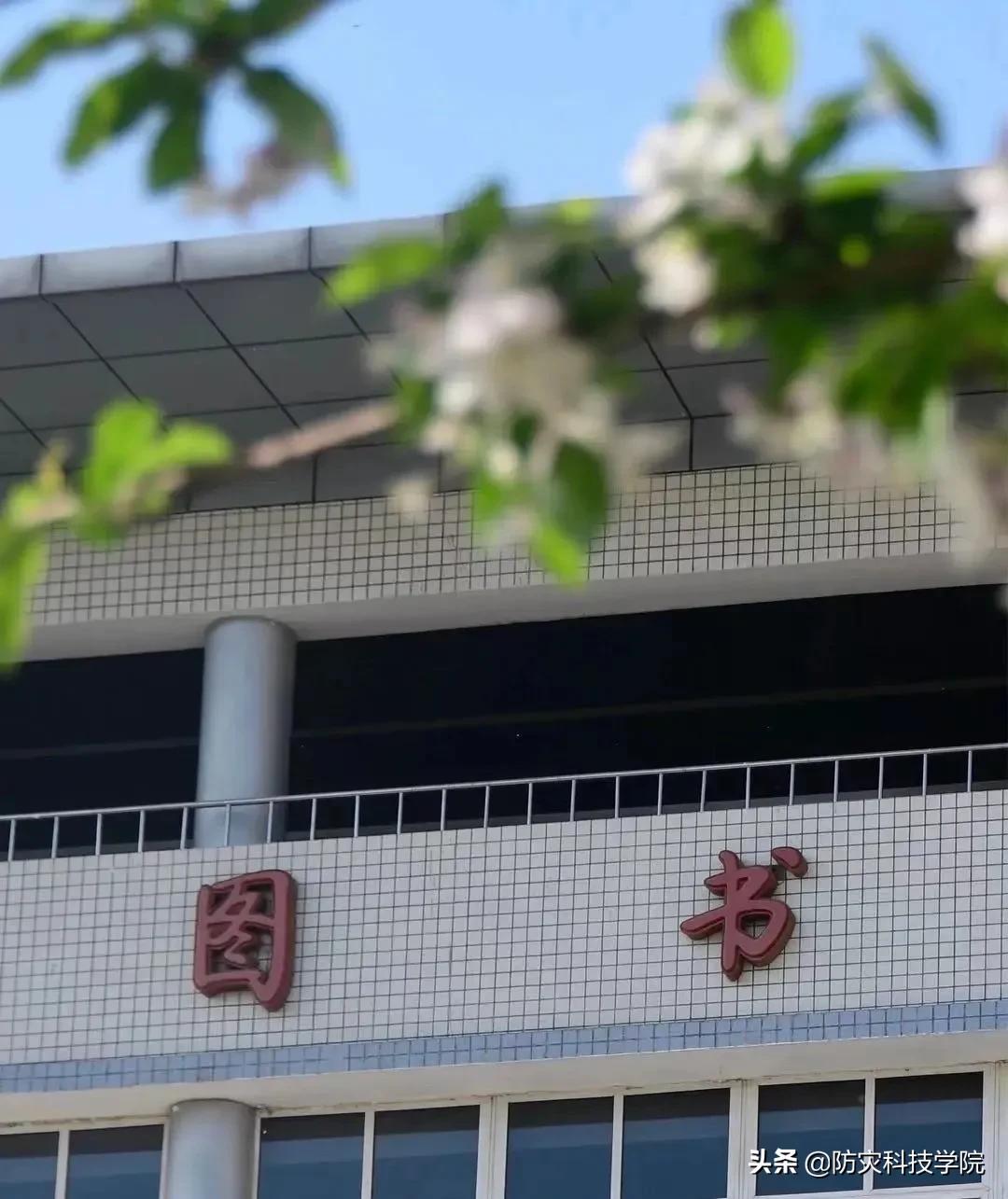 防灾“治疗术”，治愈不开心！