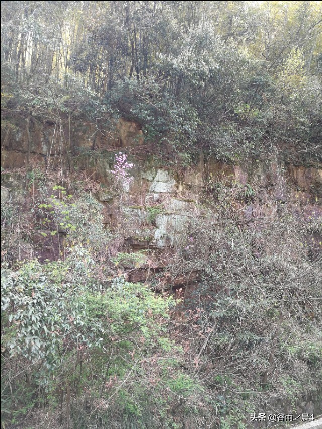 宜兴竹海徒步路线推荐,宜兴竹海最高海拔多少