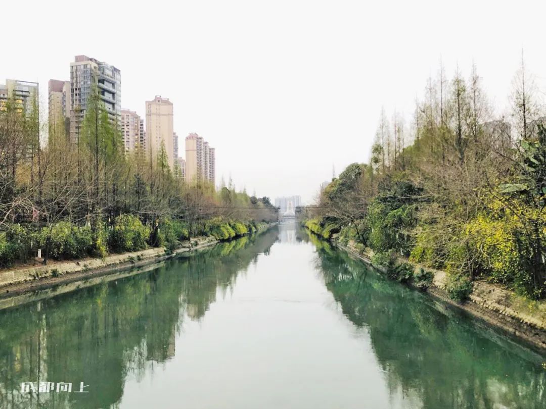 起拍价15600元/㎡！成都会捅破土拍的天花板吗？