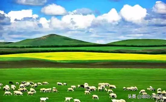 全国各地特产一览表,全国各地特产小吃一览表