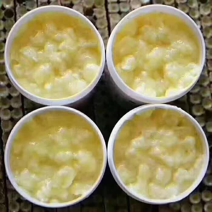 吃王浆最佳时间,食用王浆