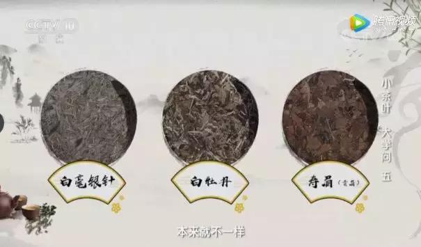 浠巆ctv1鍒癱ctv15,浠巆ctv9鍒癱ctv1