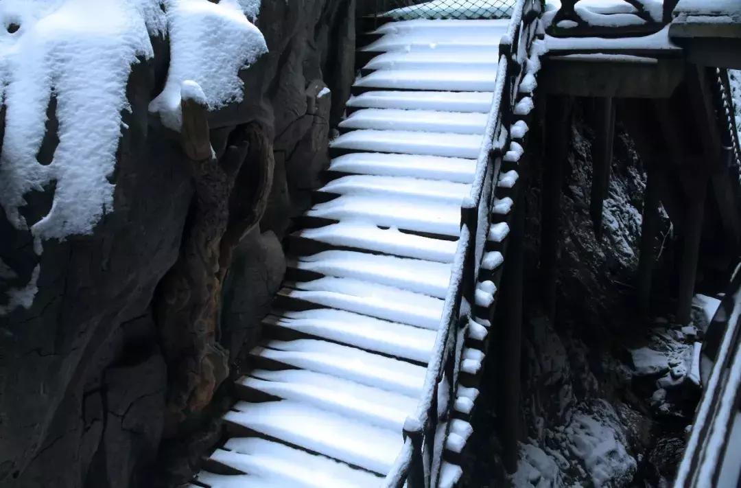 西安景区门票降价了吗现在,陕西7月份免门票景点大全