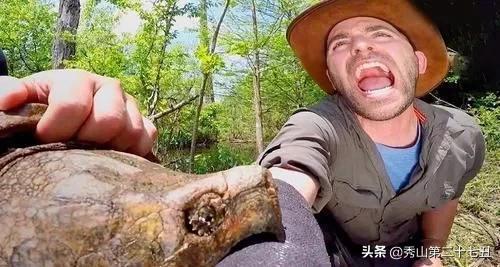 大乌龟咬小乌龟解决办法,钥匙突然被乌龟咬到不松手怎么办