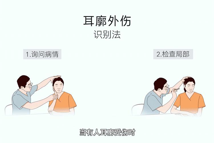 耳廓外伤看什么科,耳廓外伤多久能愈合