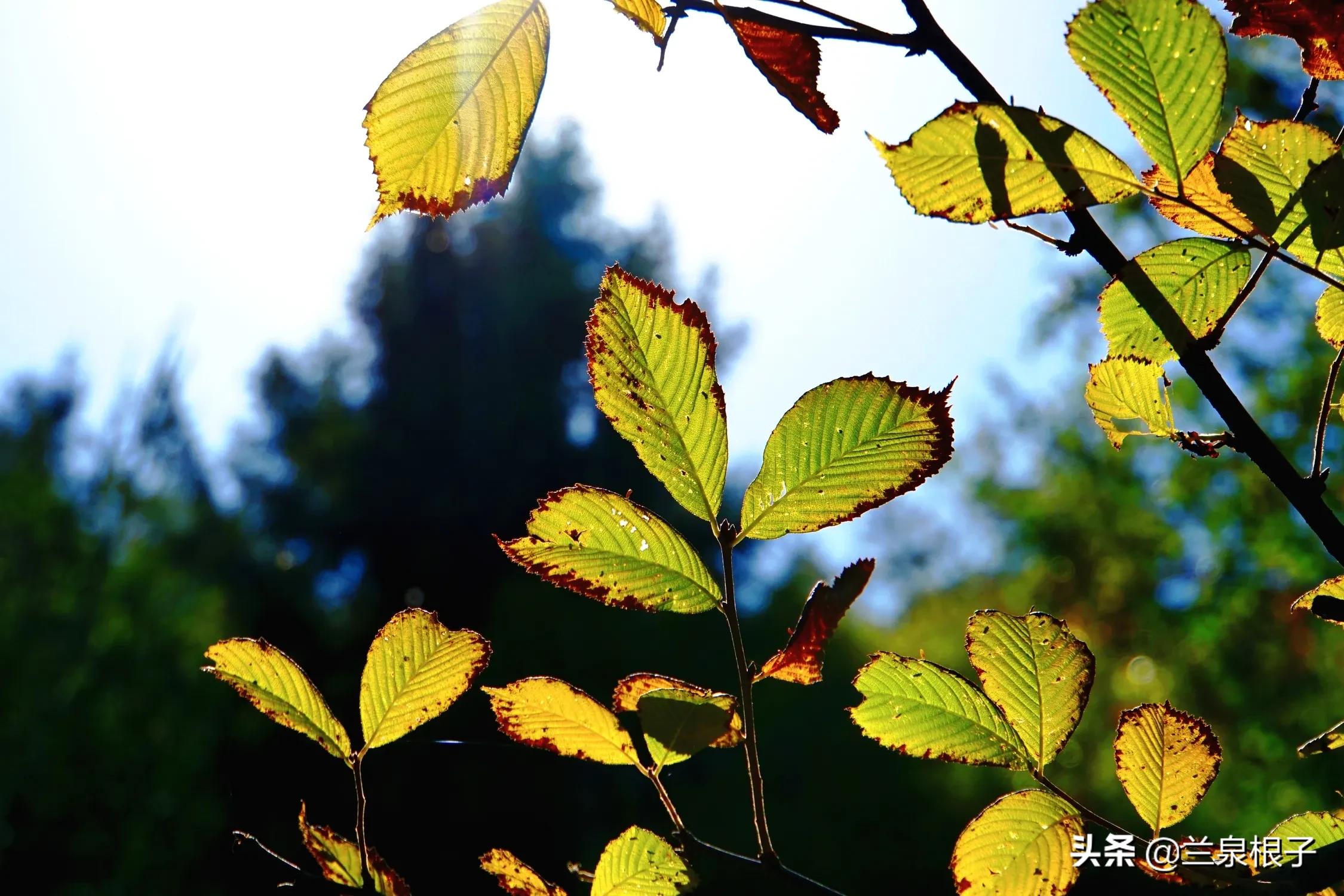 秋天的孟达天池,美丽的孟达天池
