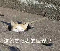 有期货投资的游戏,期货游戏