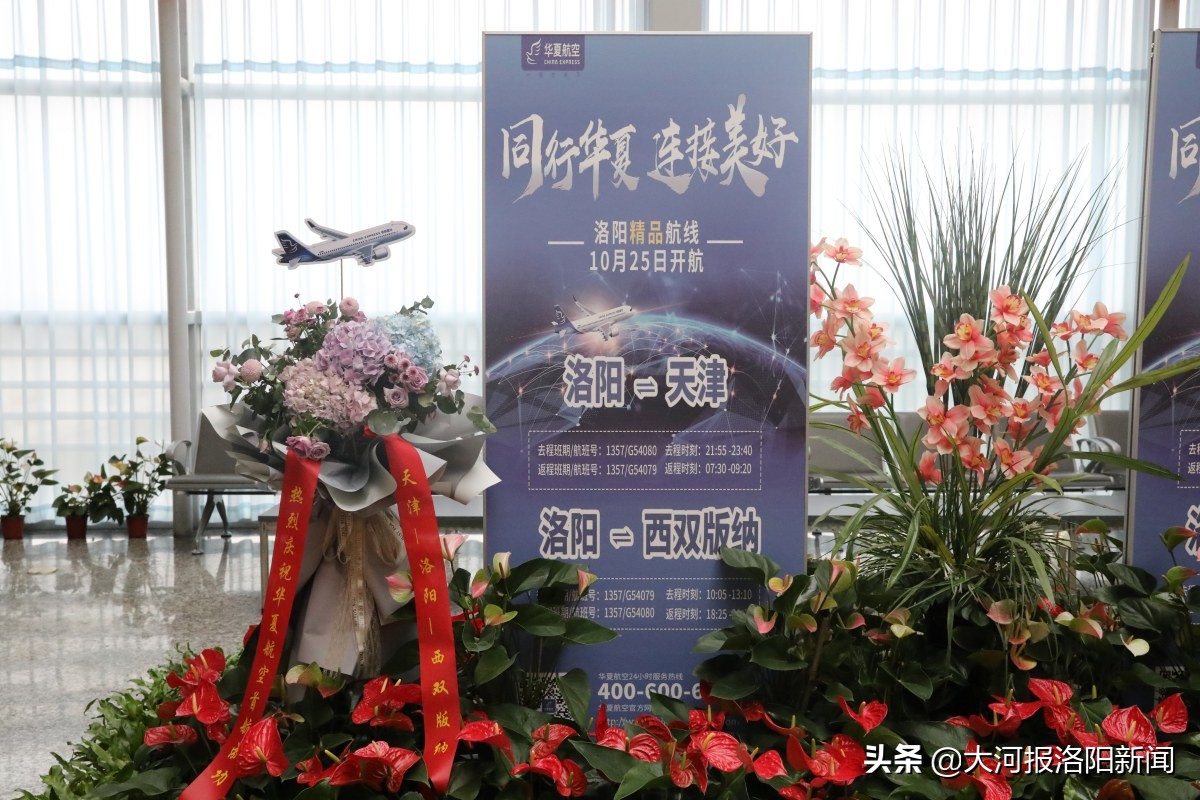 洛阳北郊机场3期扩建最新消息,洛阳北郊机场是什么时候建成的