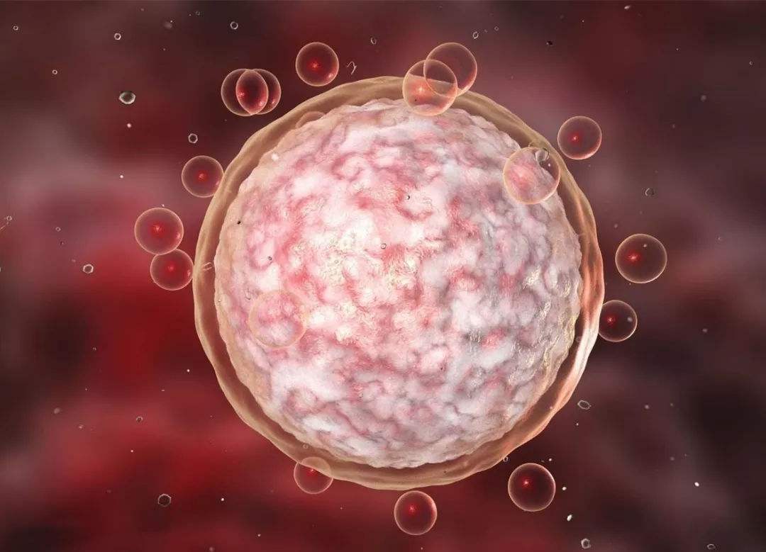 三代试管6枚胚胎成功率高吗,为什么取了10个卵只有4个囊胚