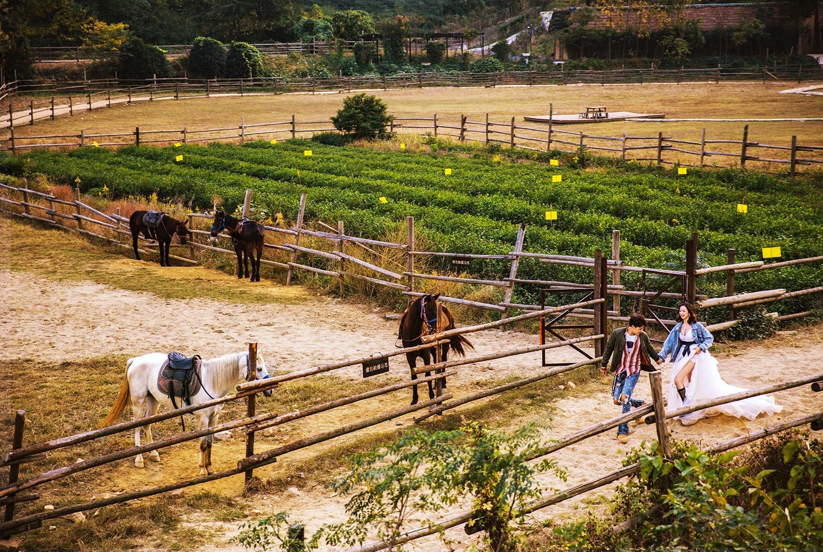 天津拍得好的婚纱摄影,天津最好的婚纱摄影排名