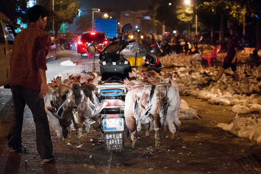 潮汕农历七月十四鬼节有哪些禁忌,农历鬼节风俗禁忌