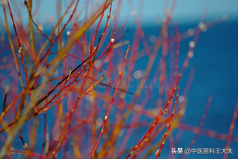 肝郁手心脚心发热怎么调理,肾脾胃虚寒肝热有什么办法