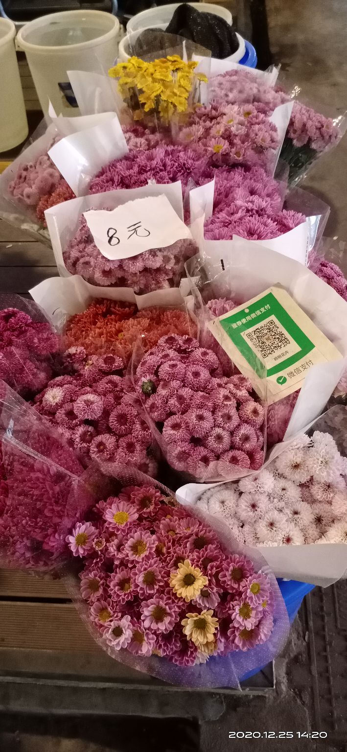 花都区岭南花卉批发市场在哪里,广州岭南花卉市场批发攻略