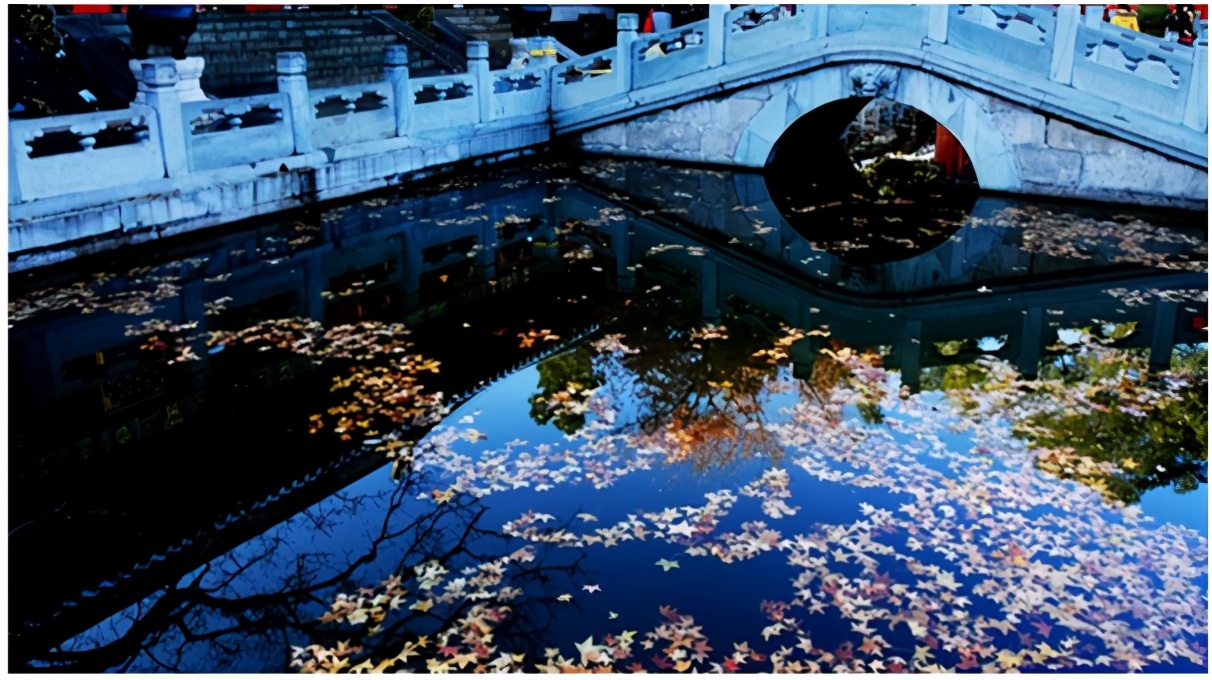 北京香山公园风景视频,北京香山公园