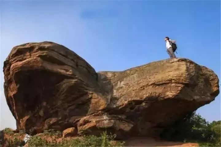 隐世原乡，又见桐花开。