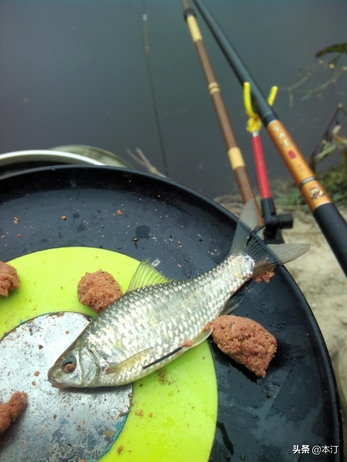 钓鱼怎么选择窝子,石窝钓鲤鱼钓法