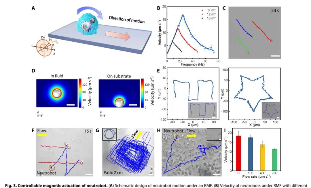 纳米磁控靶向机器人,哈工大肿瘤靶向纳米机器人
