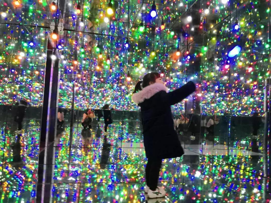 元宵花灯太美了,春季赏花郁金香太美了