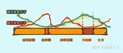 长姨妈痘吃什么调理,长了姨妈痘大概什么时候来姨妈
