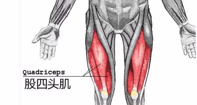膝关节退化的正确方法,膝关节退化的治疗方法