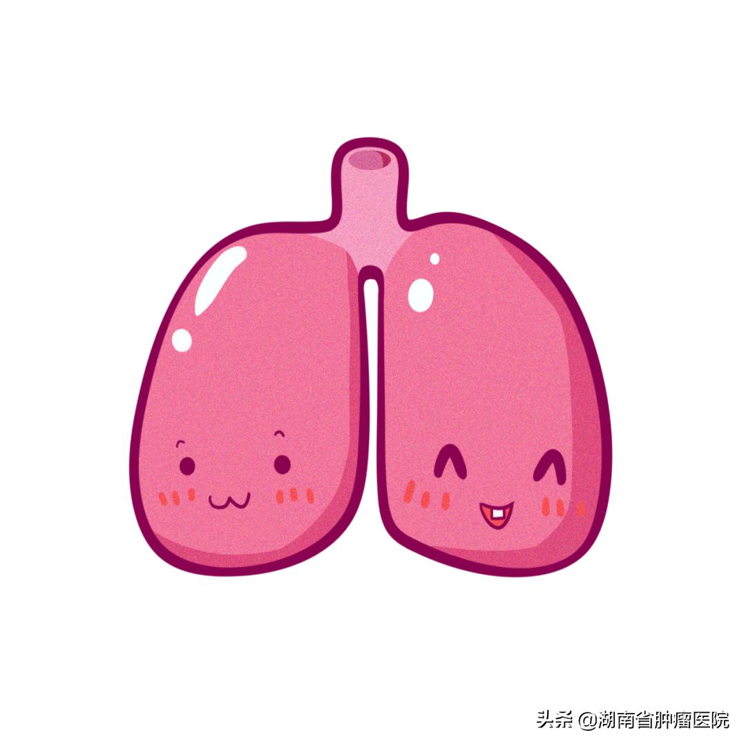 恶性肺结节手术能彻底治愈吗,手术活检肺结节恶性就是肺癌吗