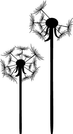 中医燥热炽盛症状,中医各种火的症状