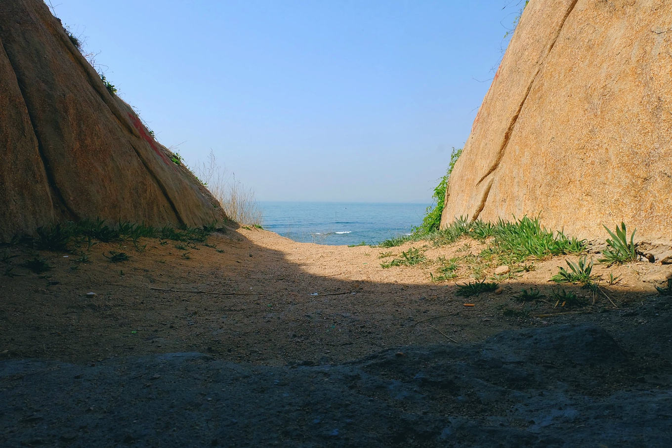 骆驼青岛,骆驼旅行在路上